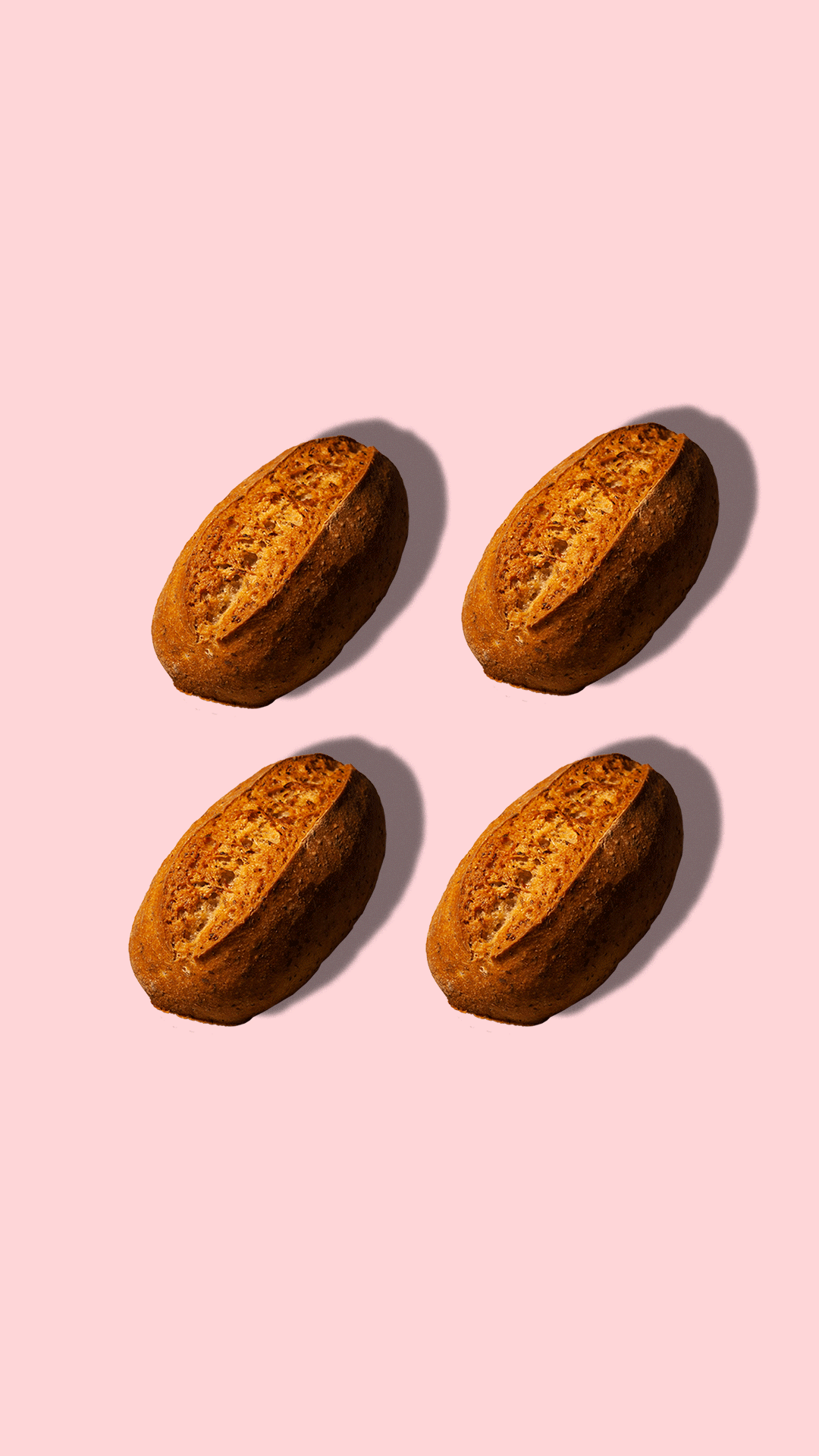 Hallo, ich bin Panedodo. Hallo, ich bin Panedodo.